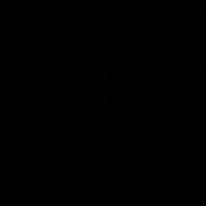 Meet your Posher, Orien